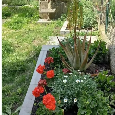 Casa Giulia Διαμέρισμα