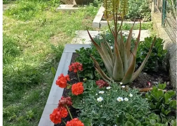 Casa Giulia Διαμέρισμα